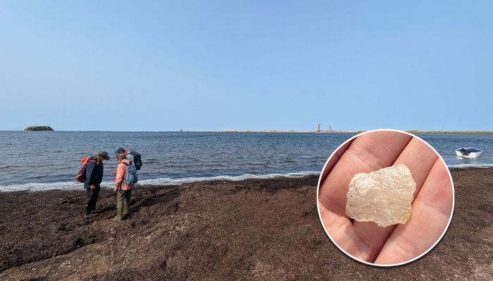 Plusieurs sites archéologiques ont fait l’objet d’une inspection visuelle aux îles de la Madeleine. Sur la photo: au travail, Anne-Sophie Lapierre, Moira McCaffrey et Hélène Chevrier, une Madelinienne. En médaillon, un petit grattoir en quartz découvert en surface durant l’inspection. On s'en servait pour gratter différentes matières, comme le cuir, le bois ou l'os.