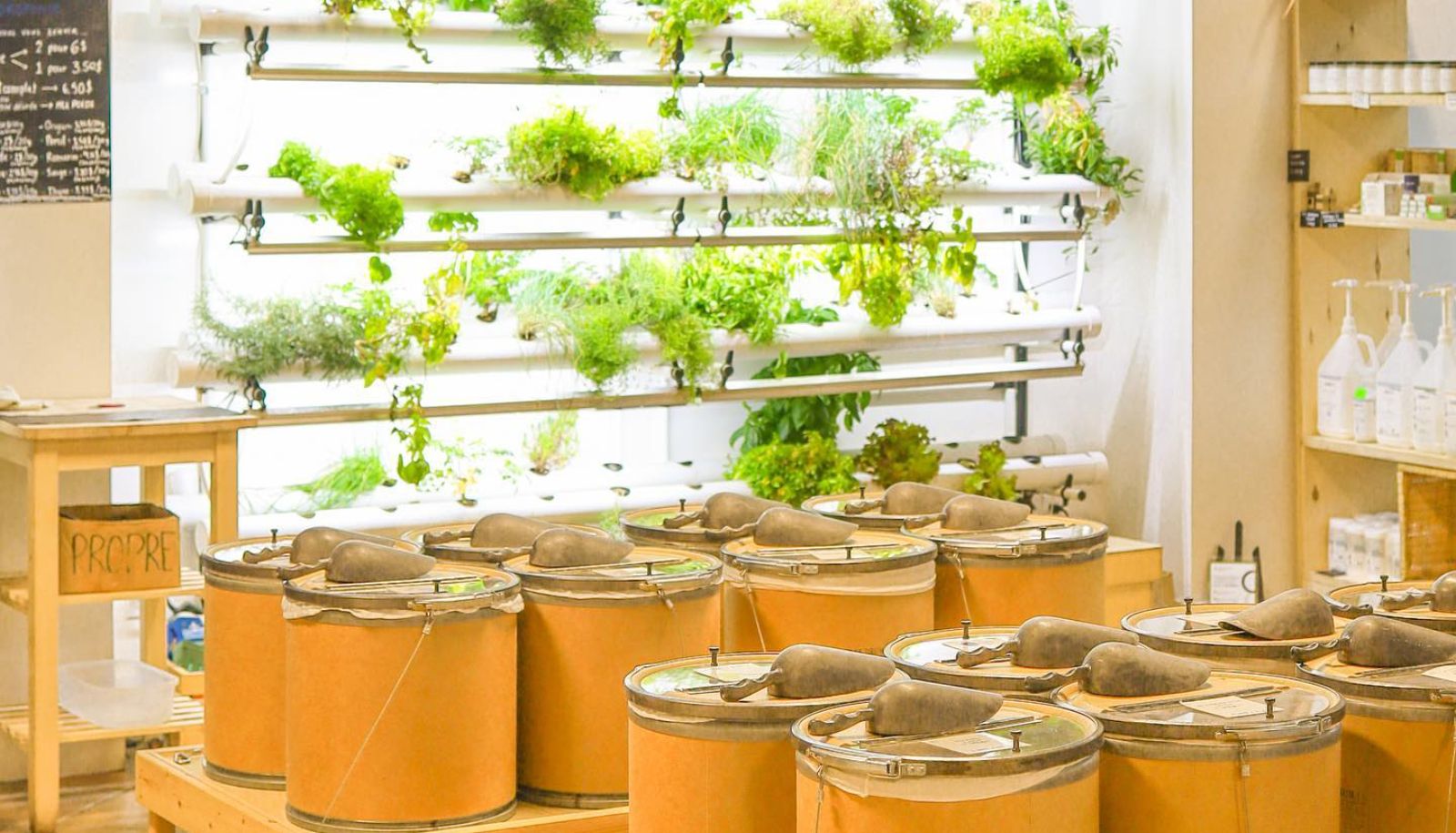 Aliments bio, consommation éthique, mode de vie zéro déchets, achat local et valorisation des producteurs, entraide et vie communautaire… Plusieurs raisons peuvent inciter à fréquenter des épiceries alternatives. Ces épiceries peuvent prendre différentes formes, mais elles ont en commun de favoriser une transition socioécologique et un mieux-être collectif. Sur la photo, l’épicerie zéro déchet L’escargot gourmand a été fondée par deux diplômées de l’Université Laval.
