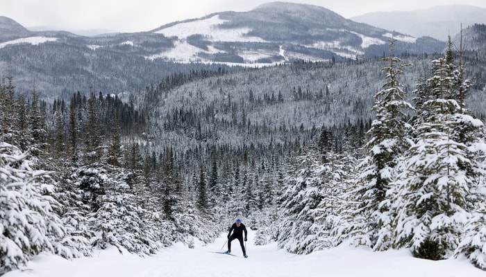 Piste de ski de fond à la Forêt Montmorency