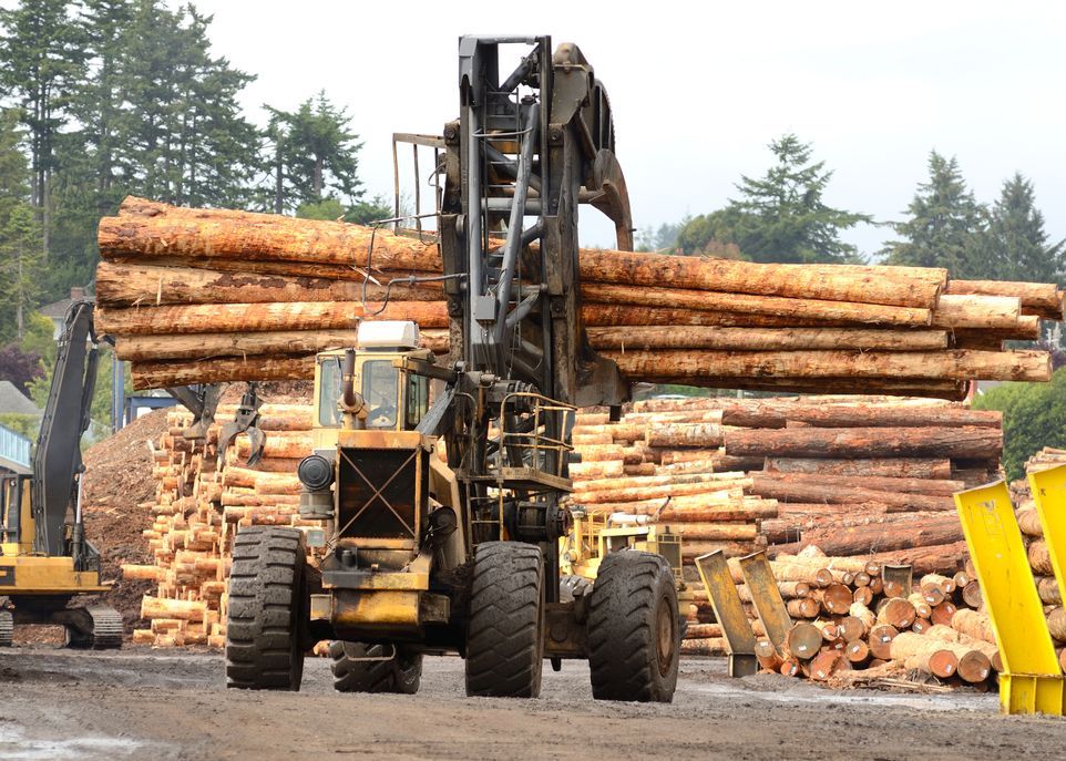 <p>Les activités de recherche du nouveau partenariat toucheront notamment à la génomique forestière, à la transformation du bois et aux panneaux, à la foresterie autochtone et à la fabrication intelligente.</p>