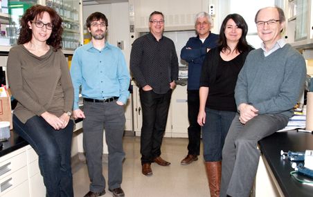 <p>Six des sept chercheurs en ophtalmologie: Stéphanie Proulx, Patrick Rochette, Marc Hébert, Sylvain Guérin, Solange Landreville et Christian Salesse.</p>