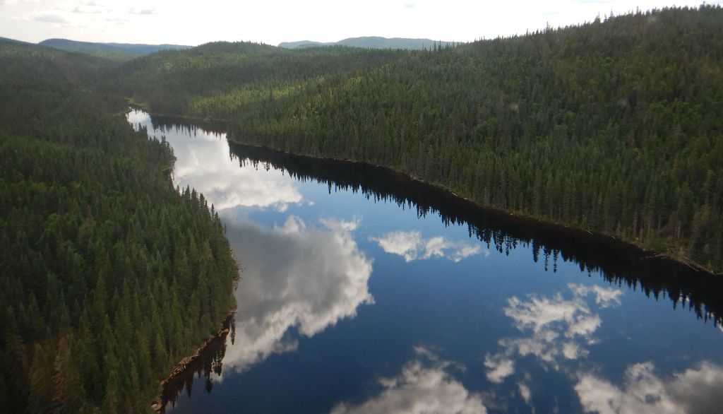 Vue aérienne d'une partie de l'aire protégée Ya'nienhonhndeh, un projet porté par la nation huronne-wendat. Des secteurs de cette aire, épargnés par les coupes forestières, ont servi de site témoin pour l'étude.
