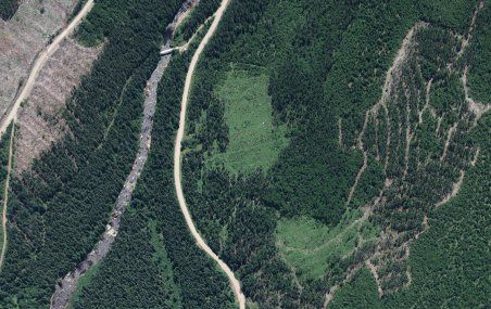 <p>Cette photo prise à la forêt Montmorency montre des peuplements forestiers à différents stades de maturité. Le modèle mis sur pied par les chercheurs permet déterminer l'âge respectif de ces peuplements.</p>