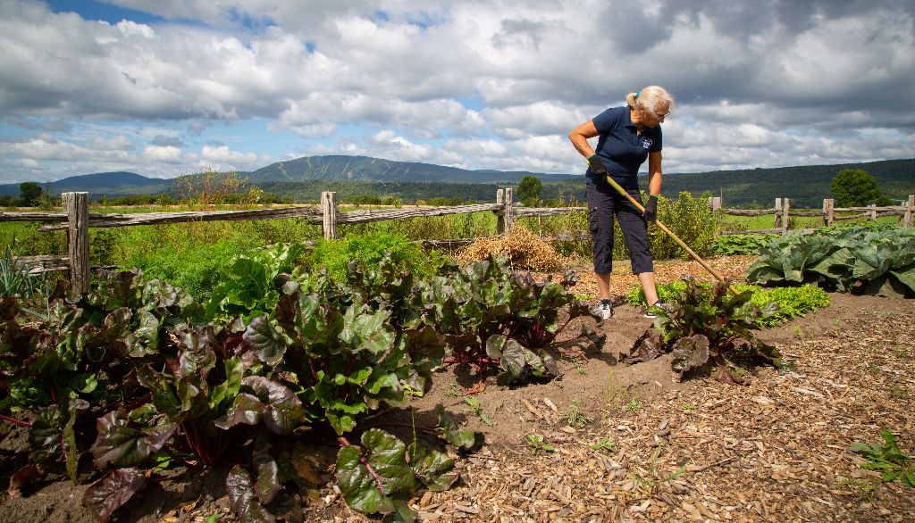 <p>Le jardin est entretenu avec respect de l'environnement, sans pesticides ni produits chimiques.</p>