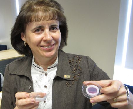 <p>Lucie Germain et ses collègues du LOEX parviennent à produire en laboratoire un épithélium de cornée à partir de cellules souches prélevées dans l'oeil des patients.</p>