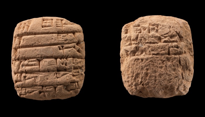 <p>La transcription de cette tablette de 4,1 cm de hauteur, de 3,6 cm de largeur et de 1,1 cm de profondeur se lit comme suit: 6 moutons, 2 agneaux et 1 chèvre ont été reçus par Sidu de Ur-Eninnu via Ur-Mes. 4<sup>e</sup> mois, 4<sup>e</sup> année de Shulgi</p>