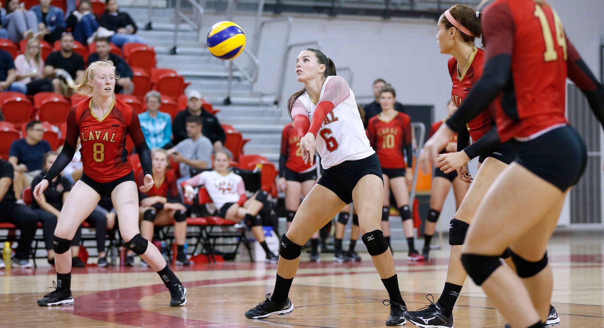 L’équipe féminine de volleyball Rouge et Or lors du match du 21 septembre contre les Aigles Bleues de l'Université de Moncton