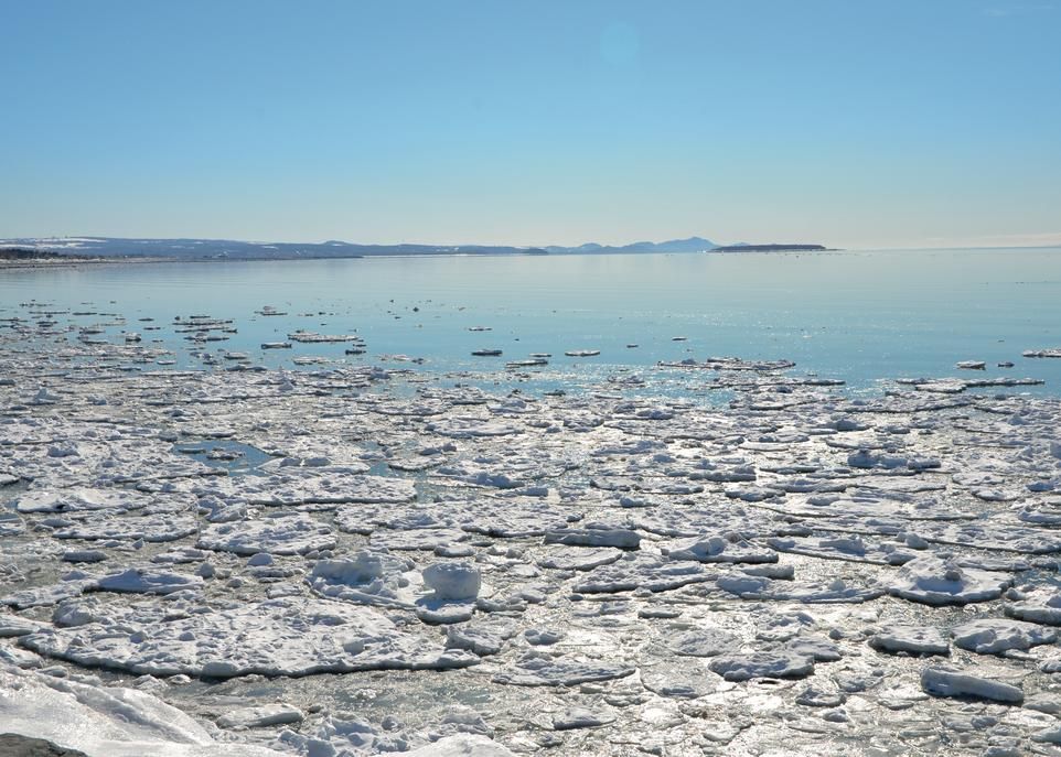 Il subsiste beaucoup d'incertitudes au sujet des répercussions de l'exploitation des hydrocarbures du golfe. Les principales lacunes sont attribuables au manque de connaissances sur le Saint-Laurent pendant l'hiver.