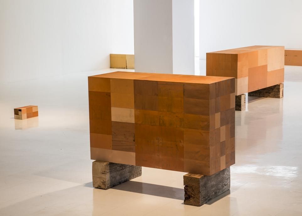 L'exposition se présente comme la rencontre de plusieurs volumes fermés aux dimensions diverses et aux profils orthogonaux.