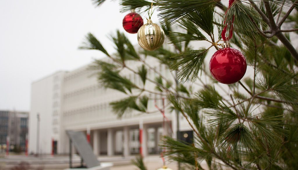 Un conifère décoré sur le campus de l'Université Laval, décembre 2020.