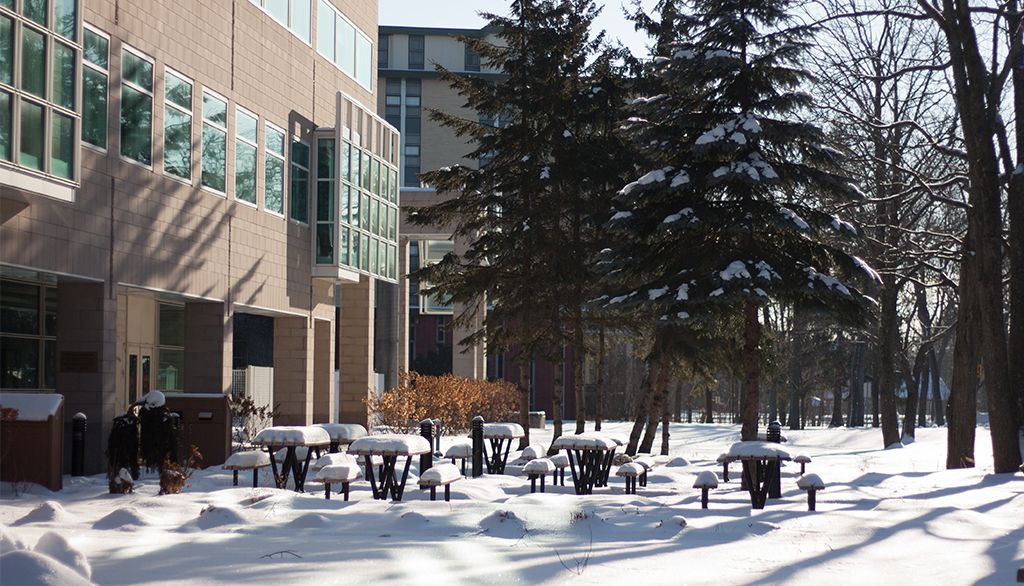 <p>Scène hivernale sur le campus de l'Université Laval.</p>