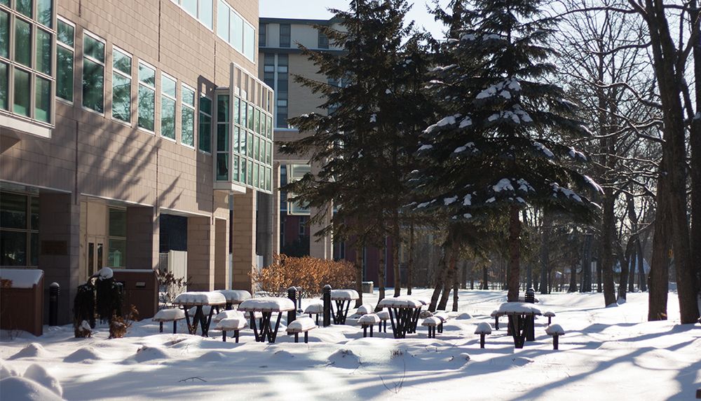 Scène hivernale sur le campus de l'Université Laval.