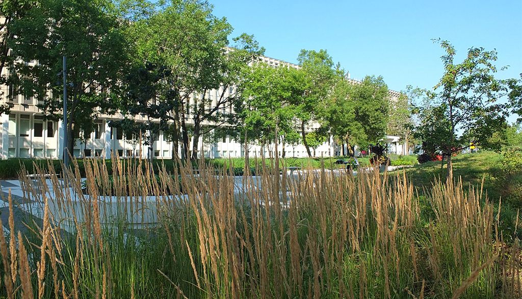 Le campus de l'Université Laval.