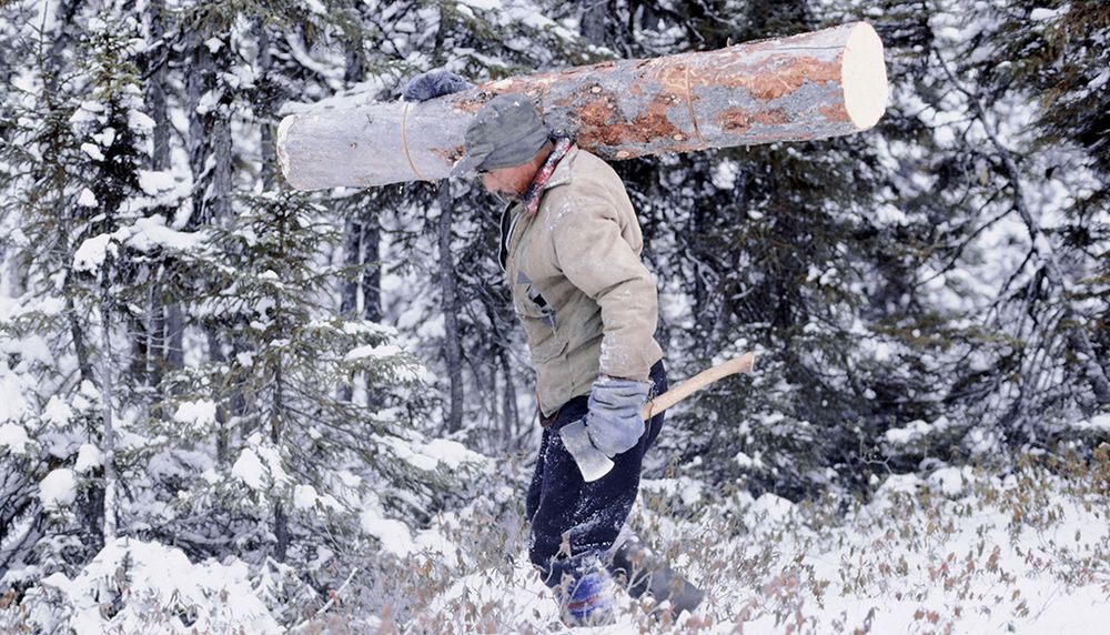 Hache à la main et bille de bois sur l’épaule, William-Mathieu Mark effectue sa corvée de bois de chauffage pour le campement de chasse à Nishk-pineiauit, en décembre 1982.