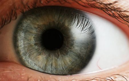 <p>La mélatonine réduit de 60% l'amplitude de la réponse des récepteurs de vision diurne. Les chercheurs ignorent toutefois si l'acuité visuelle s'en trouve affectée.</p>