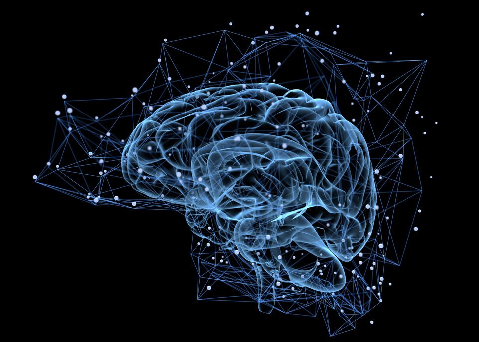 L’une des principales manifestations du parkinson est la dégénérescence sélective de neurones produisant de la dopamine, un neurotransmetteur qui intervient notamment dans l’initiation et le contrôle des mouvements.