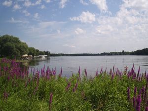 C'est parce que la réduction des polluants à la source n'a pas eu suffisamment d'effets qu'il faut envisager une solution technologique pour restaurer le lac Saint-Augustin.