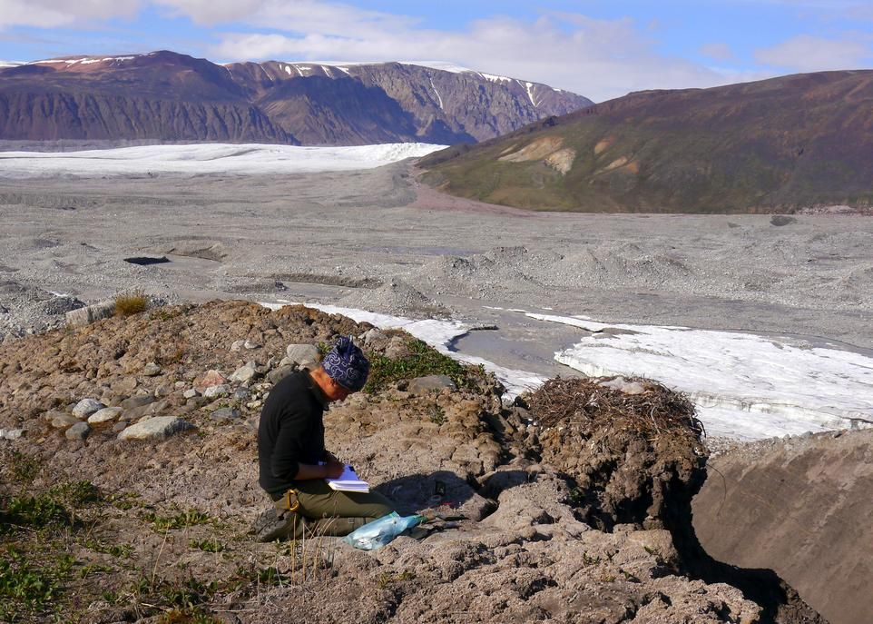 À l’île Bylot, la buse pattue construit son nid sur des escarpements rocheux ou sur des pentes abruptes qui bordent des vallées creusées dans la roche sédimentaire. Les nids installés sur des dépôts meubles ou sur des roches non consolidées sont vulnérables à certains phénomènes géomorphologiques. Par exemple, ce site de nidification découvert en 2014 par Andréanne Beardsell était disparu en 2015.