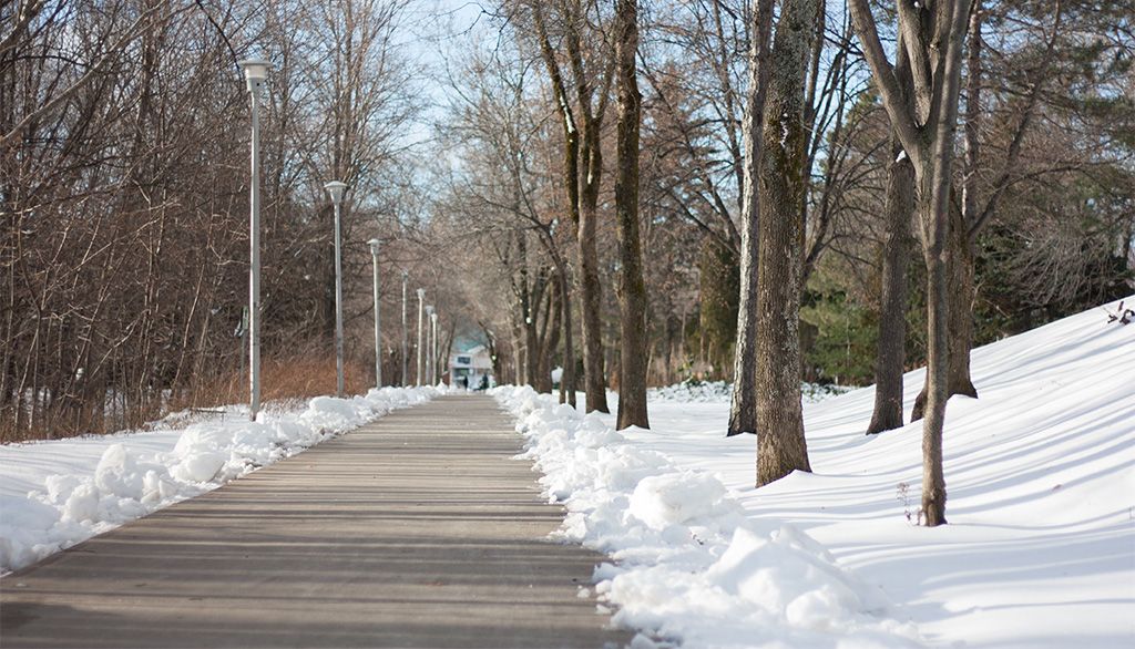 Le campus de l'Univeristé Laval au lendemain de la première neige, 24 novembre 2020.