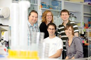 <p>L'équipe derrière cette découverte: Jean-Yves Masson, Yan Coulombe, Anne-Marie Dion-Côté, Rémi Buisson et Hélène Launay.</p>