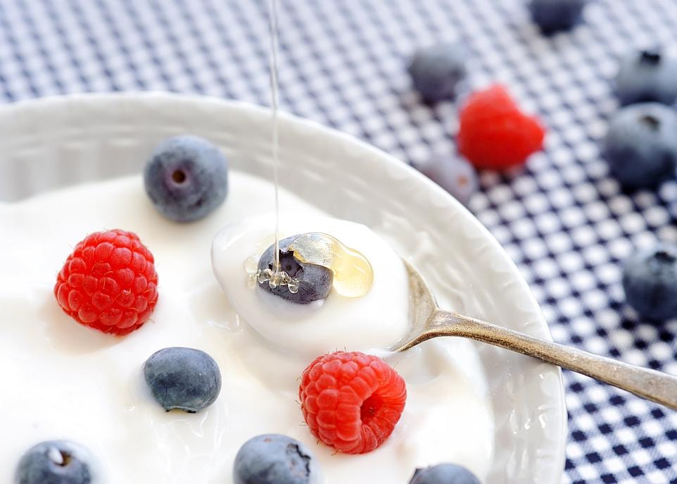 Deux méta-analyses récentes suggèrent que la consommation quotidienne de probiotiques sur une période de trois mois réduit l'incidence des infections respiratoires de 47%.