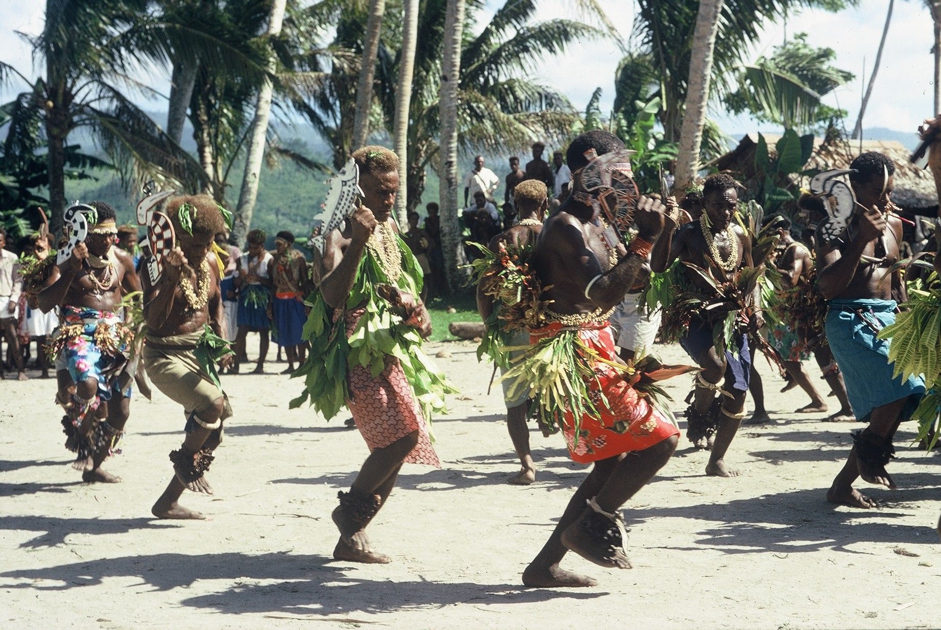 <p>Cette danse rituelle est effectuée par des hommes du clan réré, un clan influent du peuple lau, sur l’île de Foueda, à l’occasion d’une fête donnée par un grand prêtre. Plusieurs des objets que l’on voit sur cette photo se retrouvent dans l’exposition, tels que les bâtons de danse, les sonnailles portées aux chevilles, les colliers de coquillages et de dents de dauphin. Pierre Maranda avait une relation privilégiée avec les Réré, entre autres avec les grands prêtres et le chef.</p>