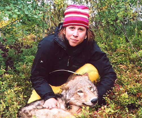 <p>Mélina Houle en compagnie d'un loup gris de quatre mois. Même si, à cet âge, les louveteaux sont déjà plus grands qu'un golden retriever, il est encore possible de les manipuler sans avoir recours à des narcotiques.</p>