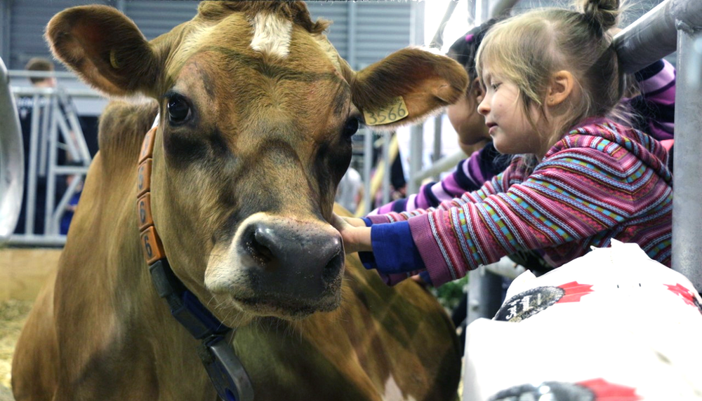 <p>Au dernier
Salon de l’agriculture, de l’alimentation et de la consommation, en janvier
2020, les animaux de ferme étaient bien présents. Ils le seront encore cette
année pour la plus grande joie des enfants.</p>