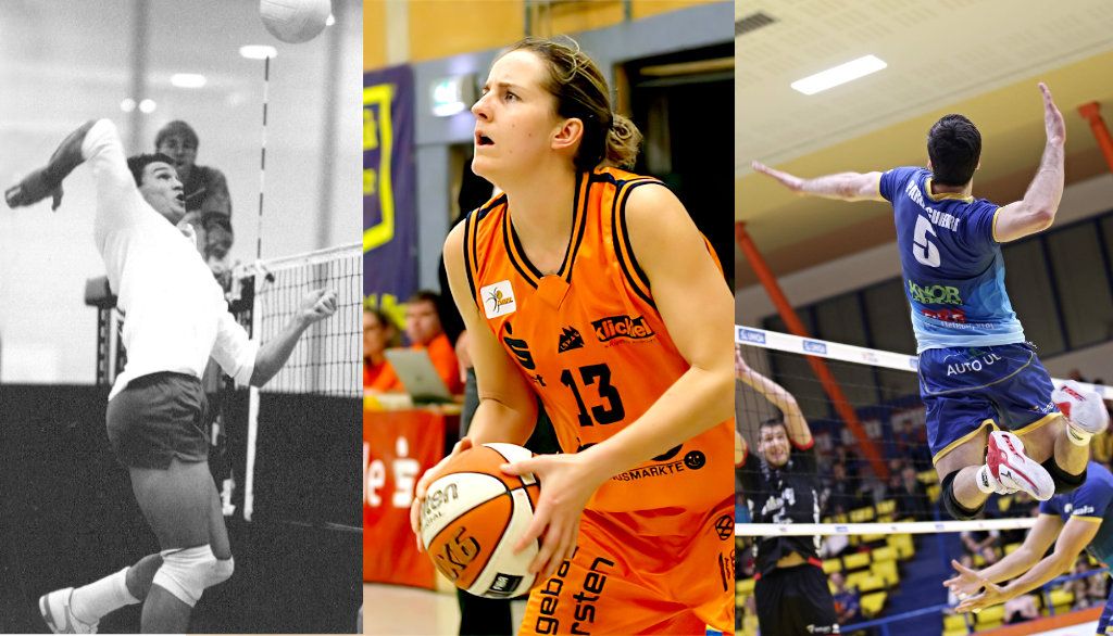 <p>Gino Brousseau (volleyball), Isabelle Grenier (basketball) et Vicente Parraguirre (volleyball) ont fait ou font carrière chez les professionnels. Le premier a joué en France et au Japon, la deuxième a fait carrière en Allemagne et le troisième joue en République tchèque.</p>