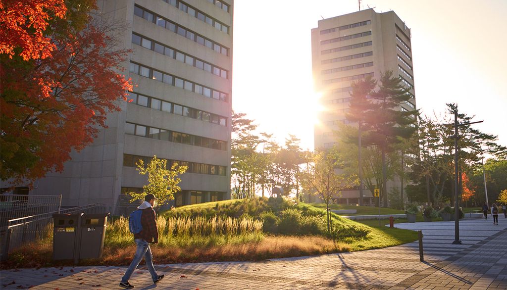 L'avenue des Sciences-Humaines sur le campus de l'Université Laval, un matin d'automne.