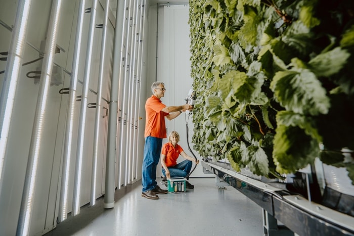 Professors Steeve Pépin and Martine Dorais working on their proof of concept for the Homegrown Innovation Challenge.