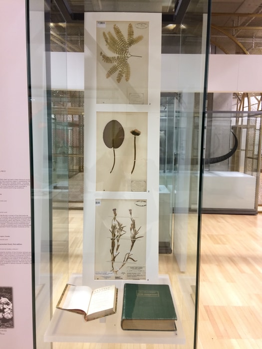 herbier-louis-marie-aucun-credit