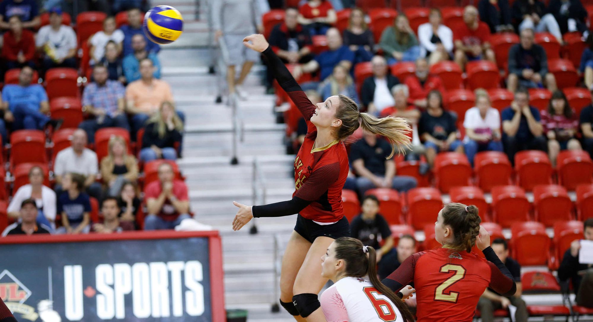 La joueuse de volleyball du Rouge et Or, Maud Chapleau.
