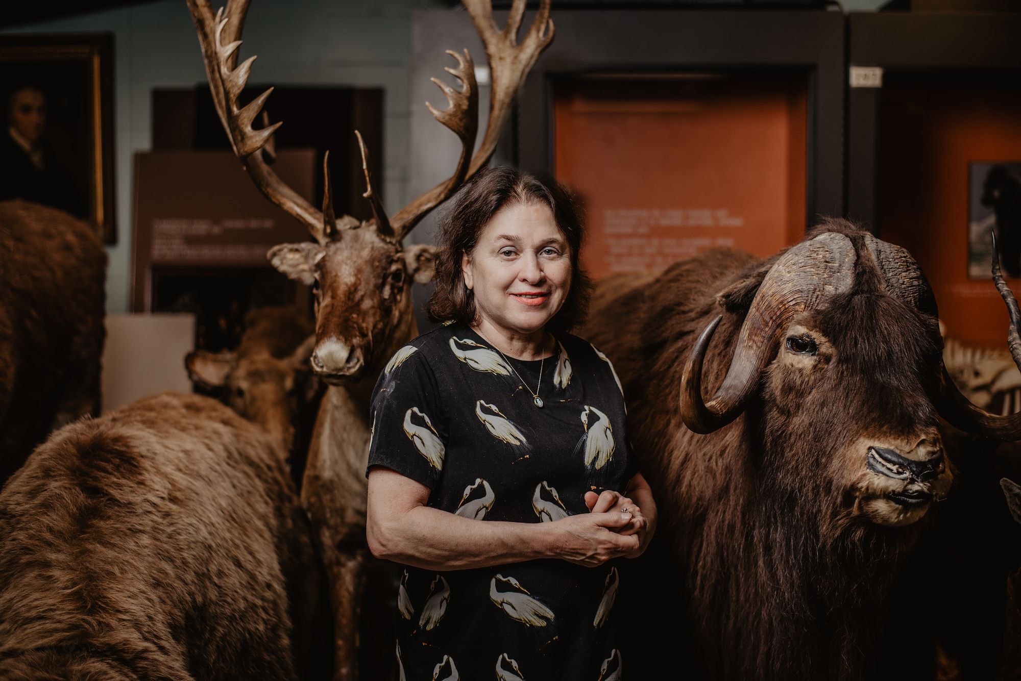 <p>Gisèle Deschênes-Wagner au-devant d’un grizzly, d’un caribou et d’un bœuf musqué, tous des pensionnaires de la réserve du pavillon Louis-Jacques-Casault. Les collections d’objets et de spécimens de l’Université offrent un intérêt pédagogique certain, représentent une valeur scientifique inestimable et constituent une source d’inspiration indéniable pour les artistes.</p>