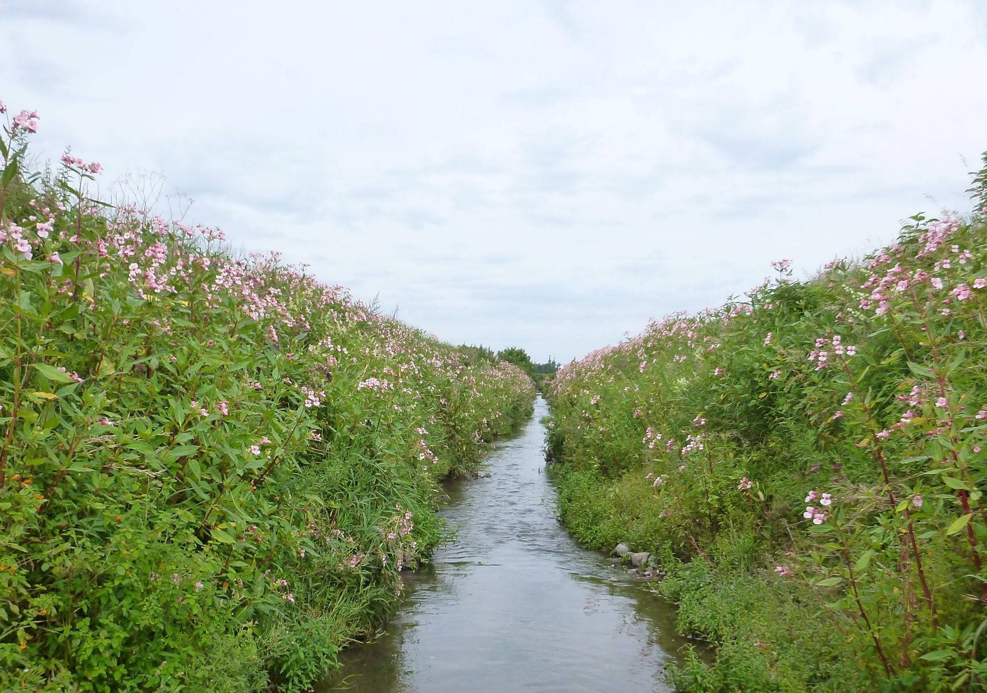 ruisseau