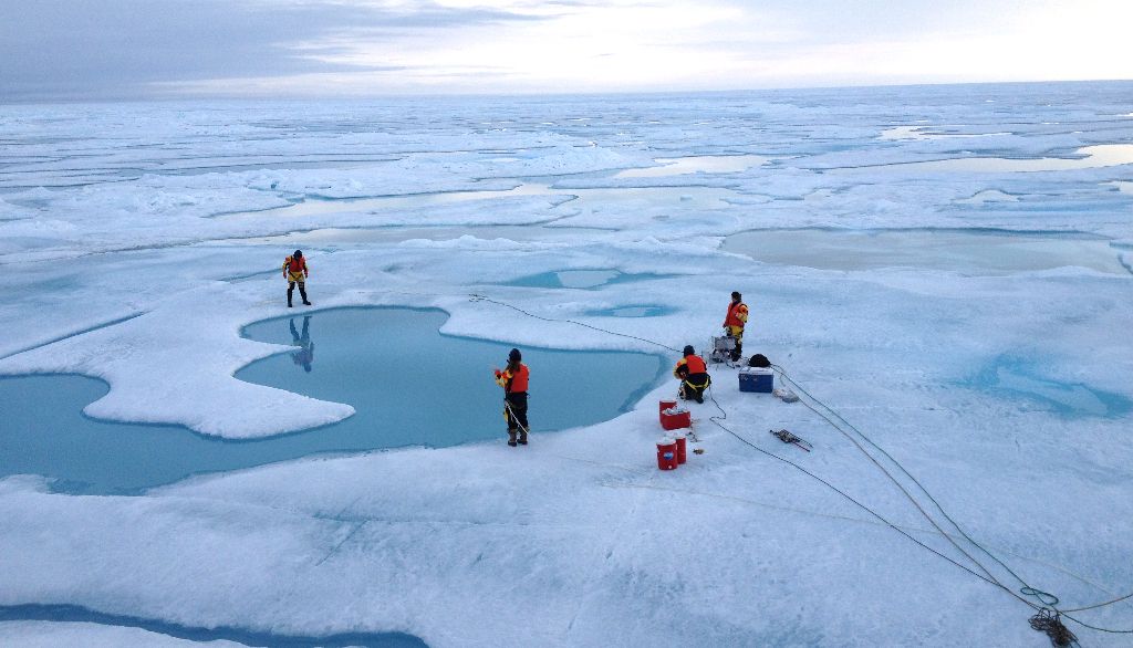 <p>L'équipe de Maurice Levasseur au travail au large de Resolute dans le détroit de Barrow. Les mares de fonte qui se forment sur la glace de l'océan Arctique constituent une sorte d'océan sur l'océan. Le phytoplancton qui se développe dans ces mares produit des quantités importantes de sulfure de diméthyle.</p>