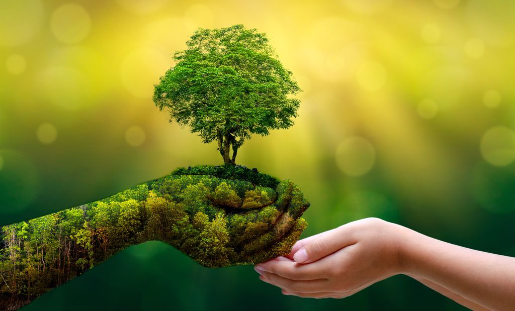 <p>L'Université Laval a joint le mouvement mondial des établissements d’enseignement supérieur visant à déclarer une situation d’urgence climatique.</p>