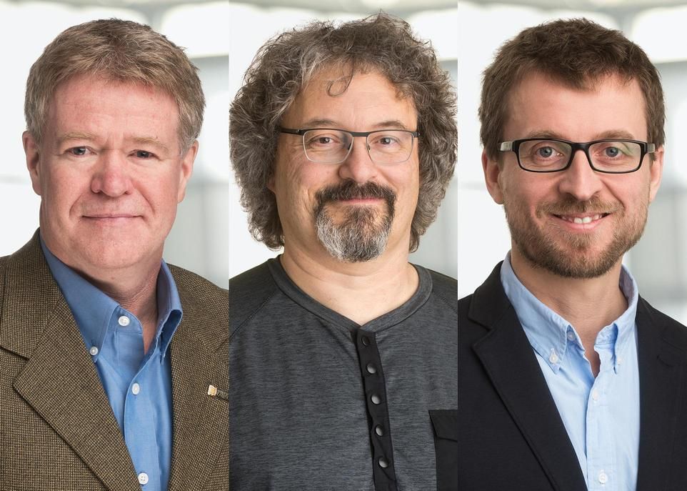 Les trois chercheurs dont les travaux ont été récompensés par le Conseil de recherches en sciences naturelles et en génie du Canada sont Sylvain Moineau, Laurent Drissen et Christian Landry.