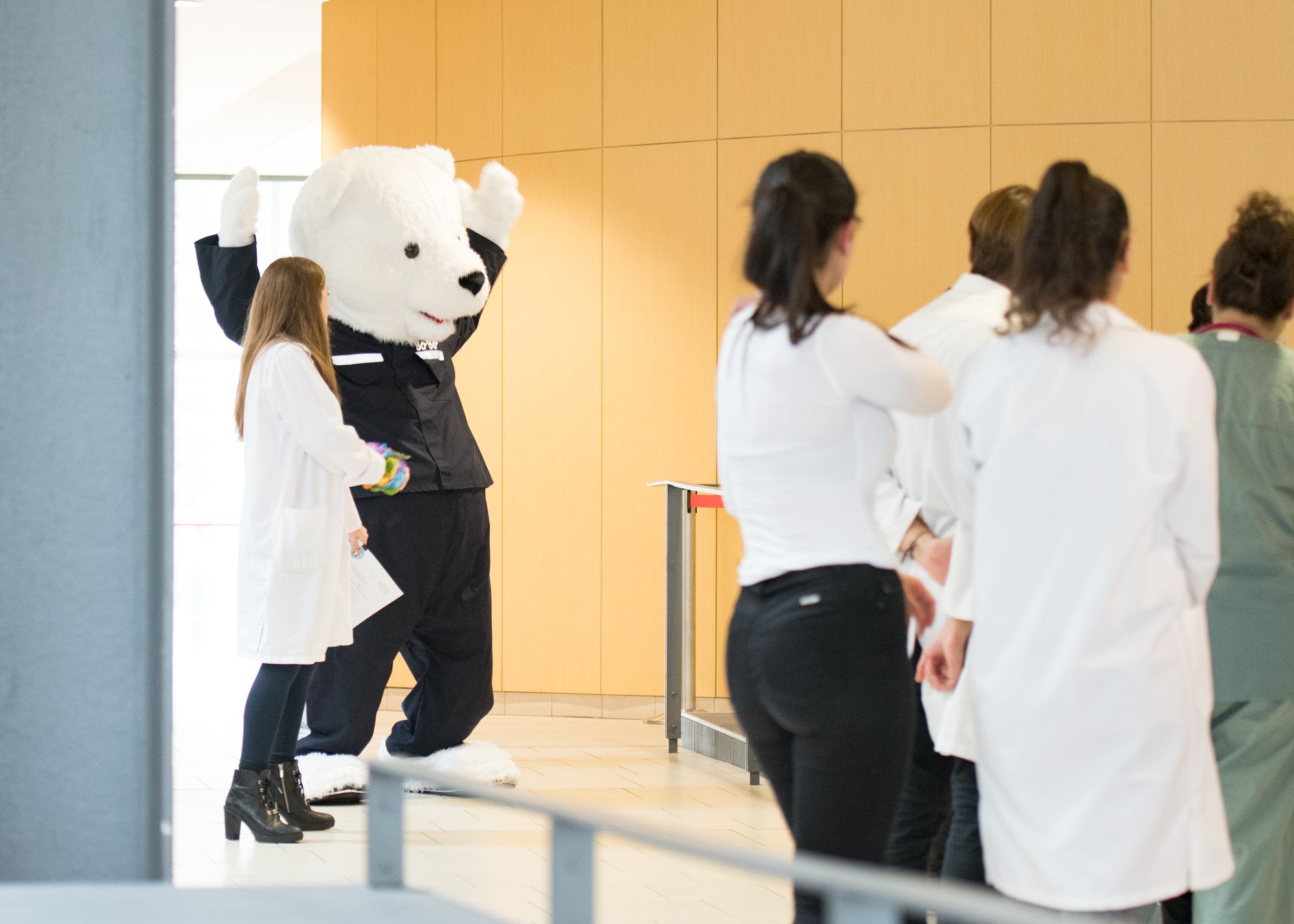 hopital-nounours-1-credit-anthony-fontaine
