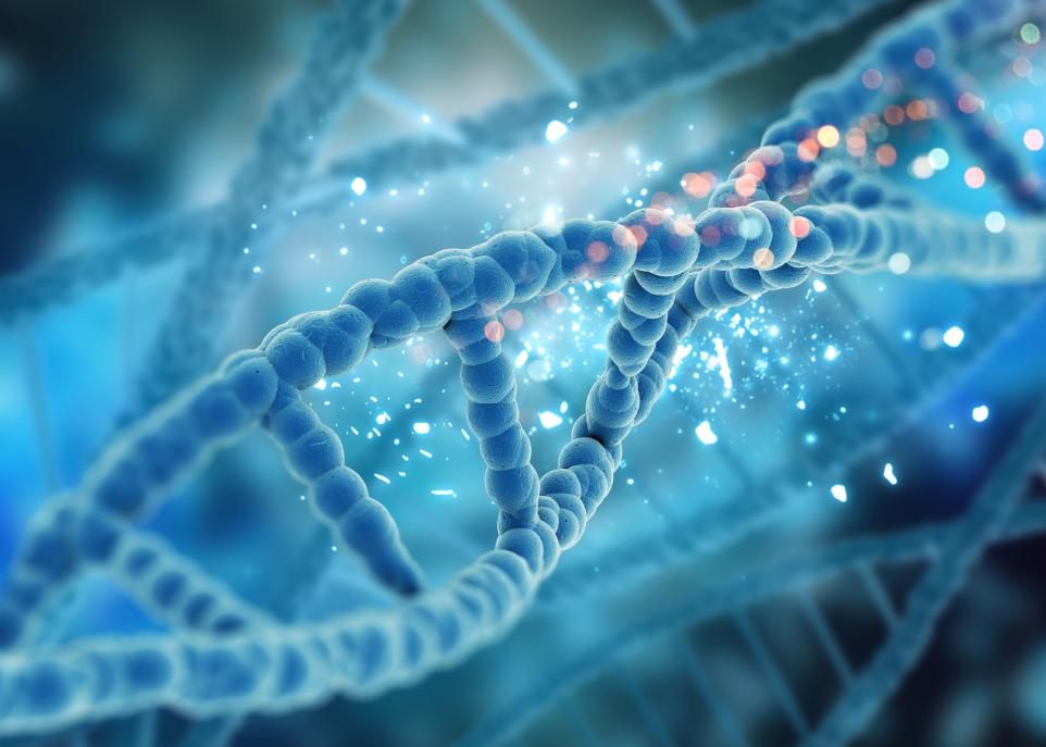 Grâce à un effort international impliquant des centaines de chercheurs, on connaît maintenant 179 variations génétiques qui influencent le risque de cancer du sein. L'étape suivante consiste à transférer ces connaissances vers des programmes de dépistage de cette maladie.