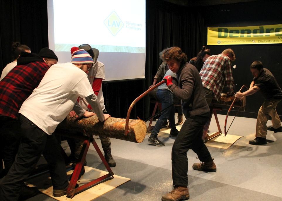 salon-foret-2-credit-Semaine-Sciences-Forestieres