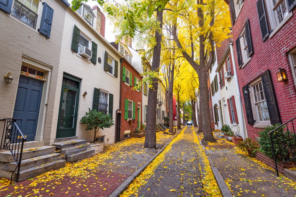 Dans cette ruelle de Philadelphie, les arbres matures permettent d'abaisser significativement la température. Chacun d'eux équivaut à cinq climatiseurs.