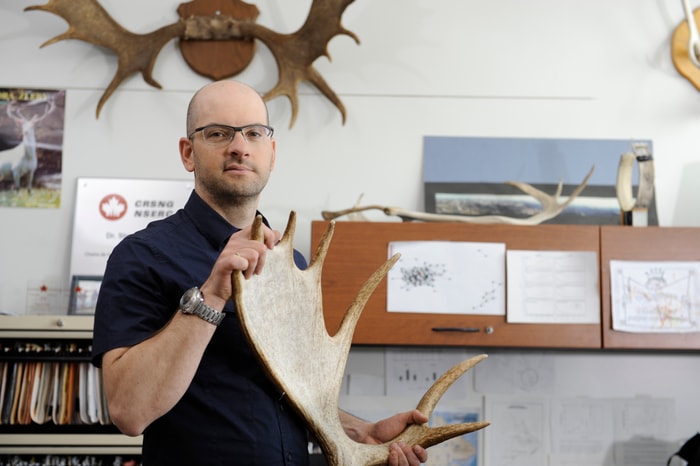<p>Steeve Côté, professeur au Département de biologie de l'Université Laval</p>