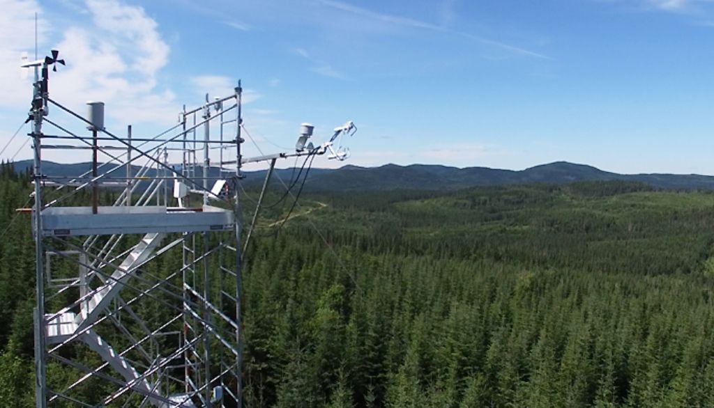Ces capteurs installés au sommet d'une tour à flux permettent de mesurer les échanges entre l'atmosphère et les arbres à la forêt Montmorency.