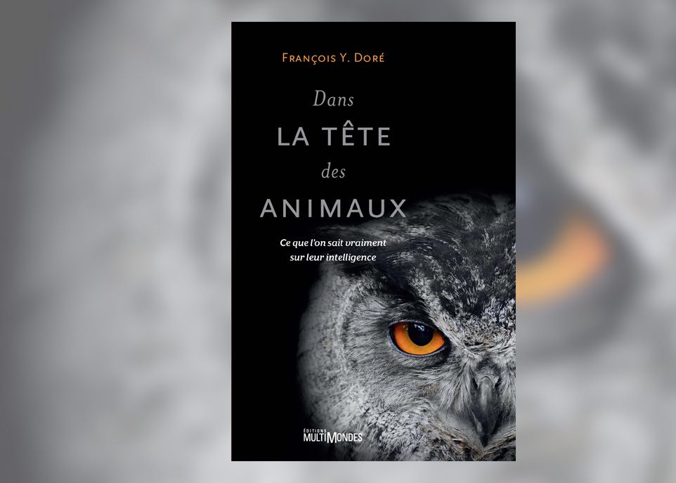 intelligence-animaux-livre