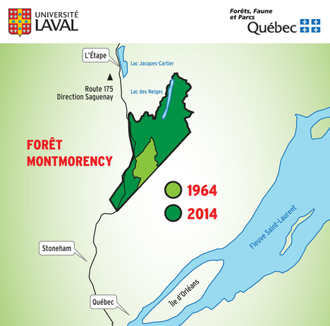<p>La forêt Montmorency voit sa superficie passer de 66 km<sup>2</sup> à 412 km<sup>2</sup>.</p>