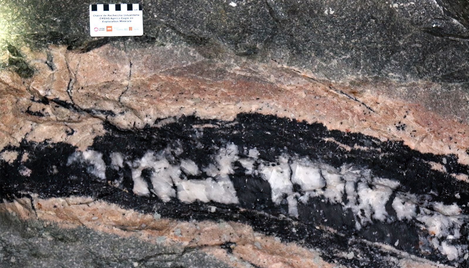 <p>Filon aurifère de quartz (blanc) et de tourmaline (noir) avec son enveloppe d’altération (pâle). Mine Goldex.</p>